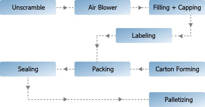 Production Structure